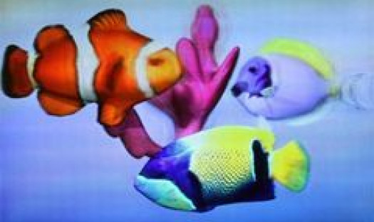 Naukowcy z MIT mają swoje 3D. Nadchodzi rewolucja?