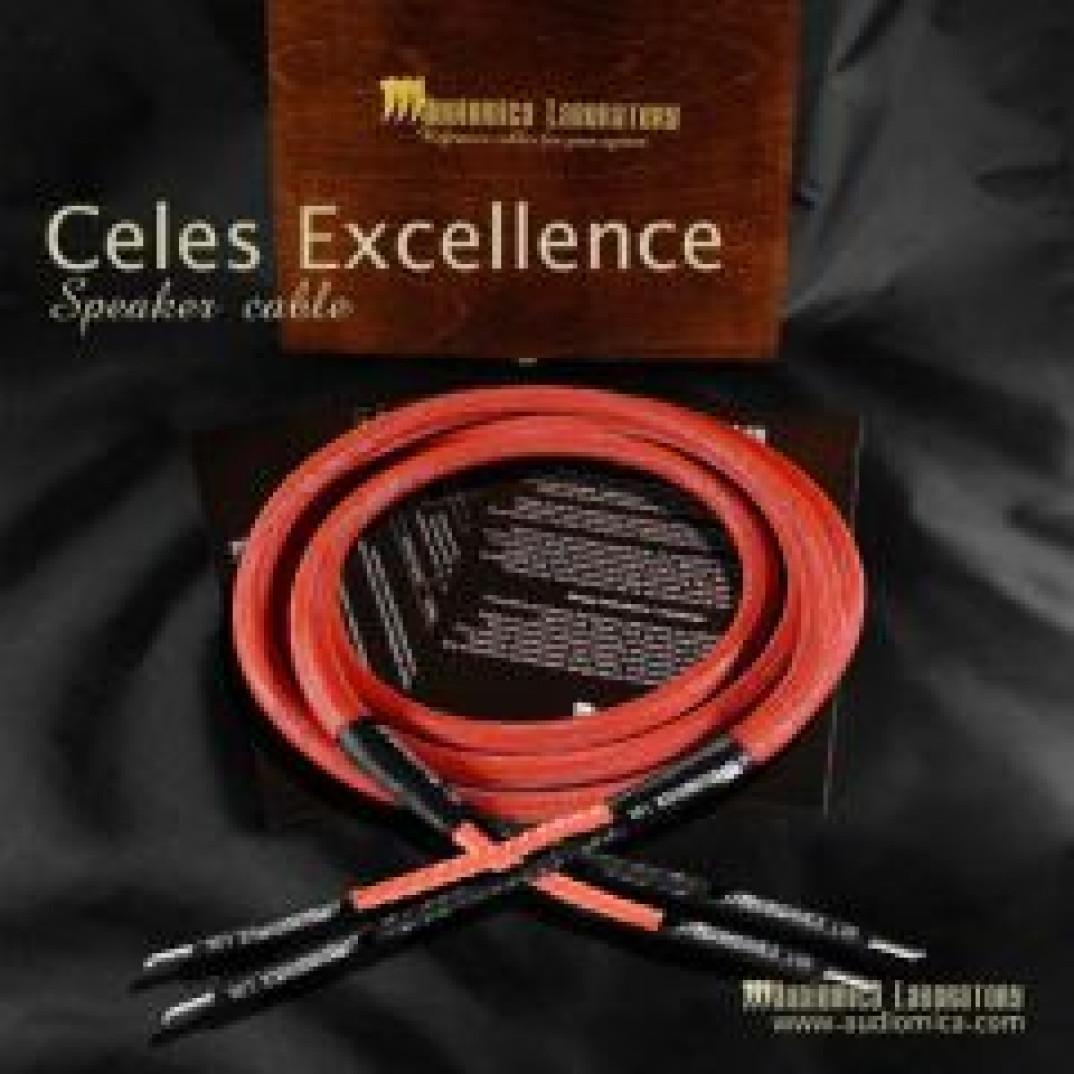 Okablowanie Audiomica Laboratory w ofercie salonu Patron