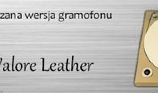 Skórzany gramofon Goldenote Valore w salonie Q21