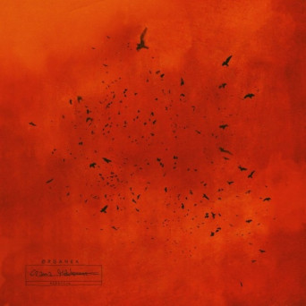 Czarna Madonna. Reedycja