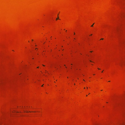 Czarna Madonna. Reedycja