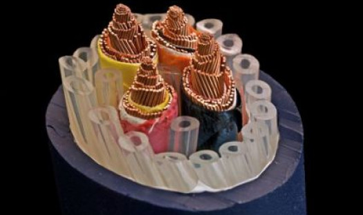 Kable Cardas Audio w Voice