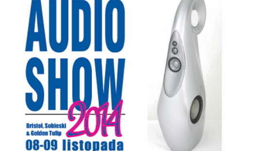 Audio Show 2014. Terapia kolejką