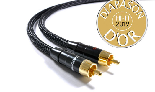 Melodika ze złotym Diapasonem