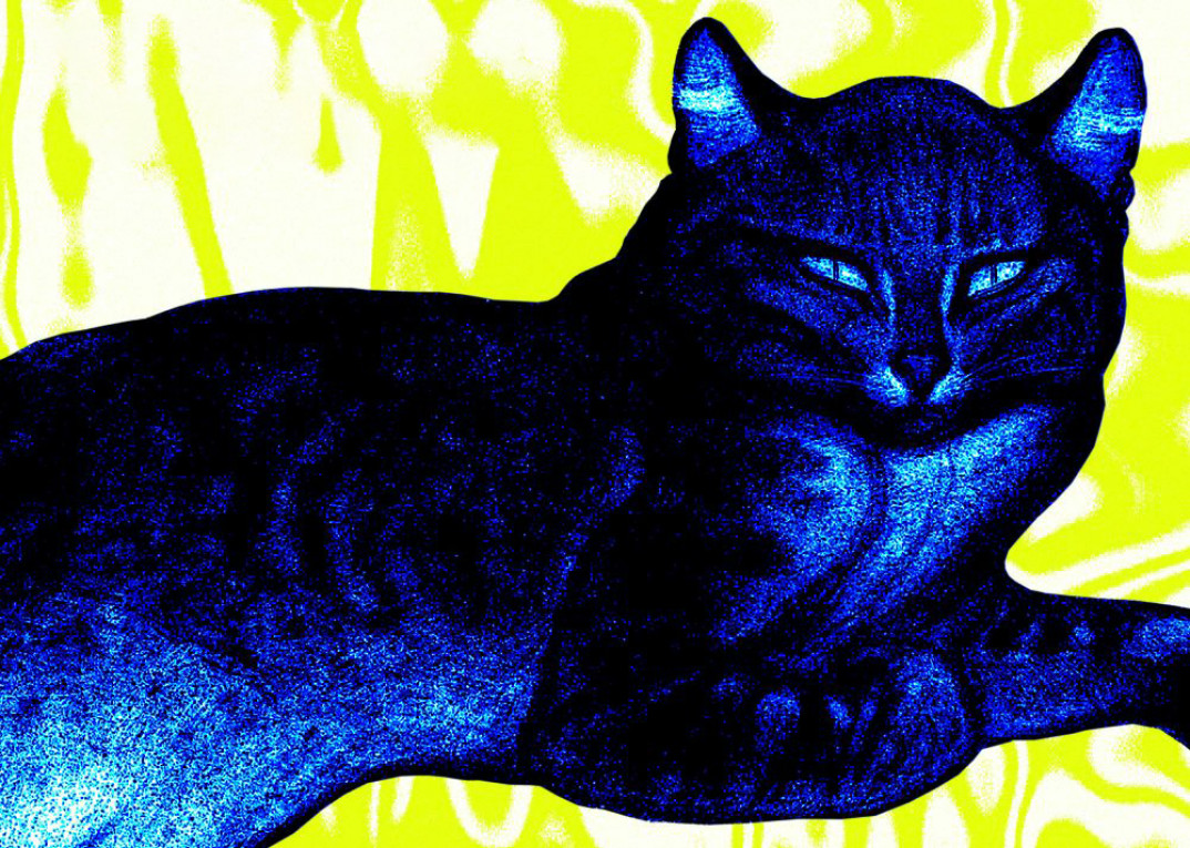 "Kattorna" - Rodziewicz i Urszula Dudziak w utworze Krzysztofa Komedy