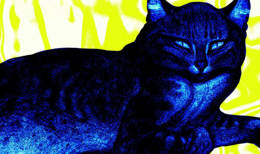 "Kattorna" - Rodziewicz i Urszula Dudziak w utworze Krzysztofa Komedy