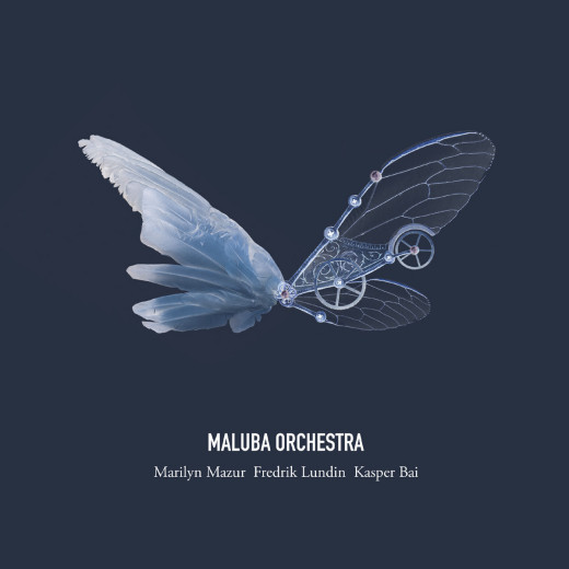 Maluba Orchestra
