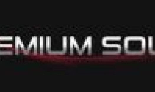 Niedziela Handlowa w Premium Sound