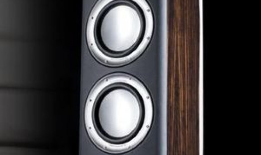 Platynowe Monitor Audio