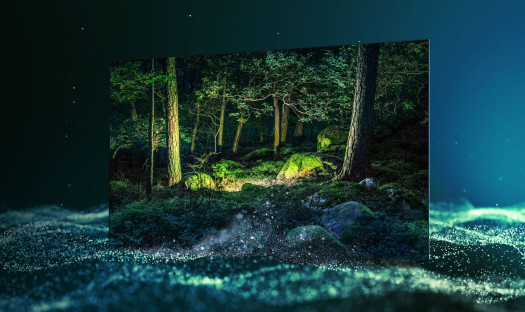 Nowy Samsung OLED ze zwrotem 2 tys. złotych