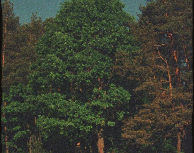 "Małomiasteczkowy" - nowy singiel Dawida Podsiadło