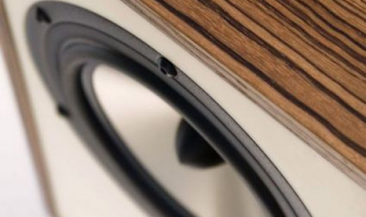 Zestawy głośnikowe Trenner &amp; Friedl w Polsce