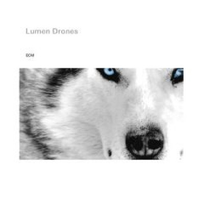 Lumen Drones
