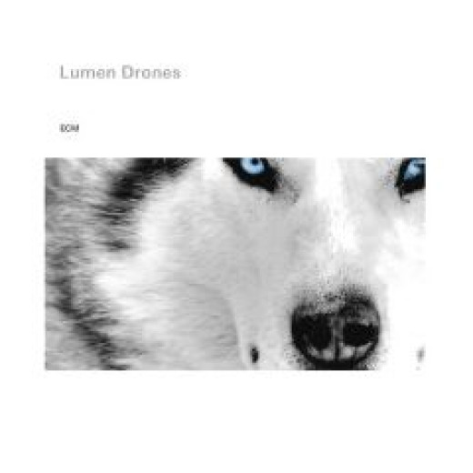 Lumen Drones