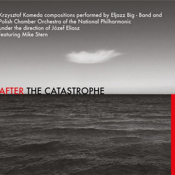 After the Catastrophe