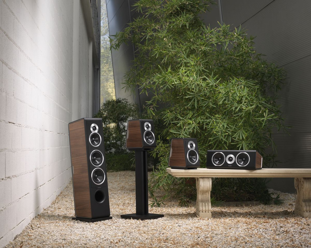 Sonus faber Chameleon w okleinie matowy orzech