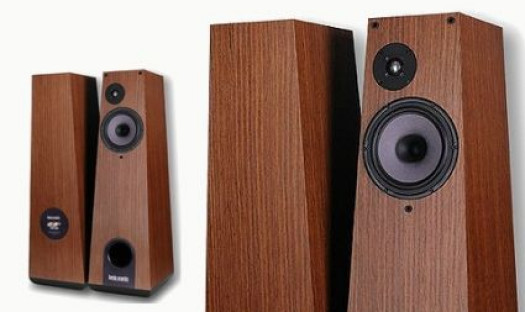 Harpia Acoustic 300B Mini w Premium Sound