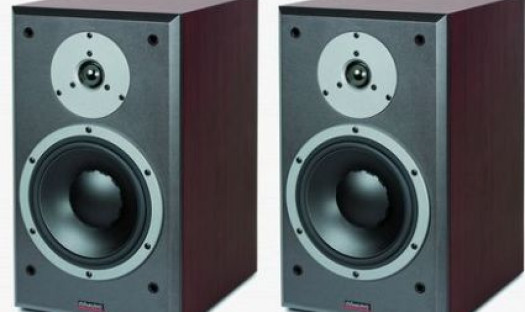 Dynaudio DM
