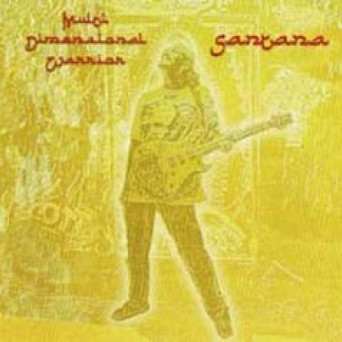 Multi Dimensional Warrior