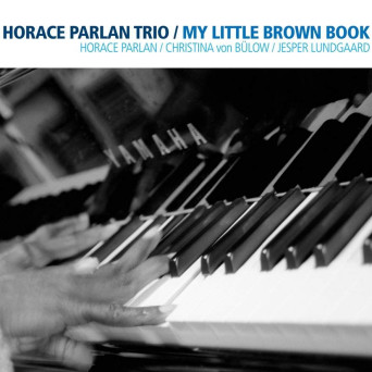 My Little Brown Book