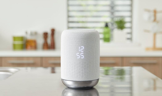 LF-S50G - głośnik Sony z z wbudowanym asystentem Google