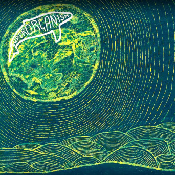Superorganism
