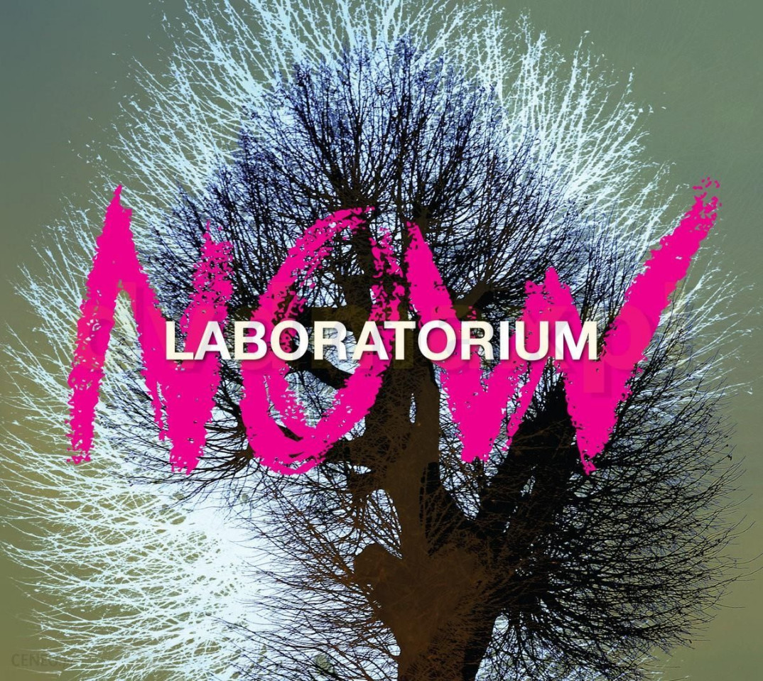 Płyty zespołu Laboratorium otrzymują...