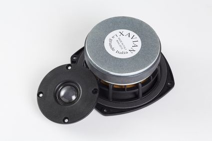 xavian_bonbonus_the_drivers_max