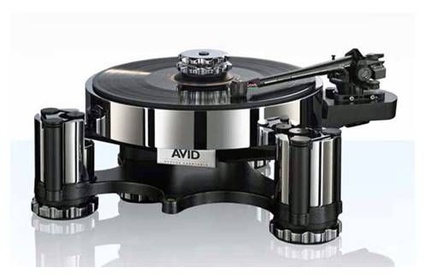 avid_acutus_max avid_acutus_max